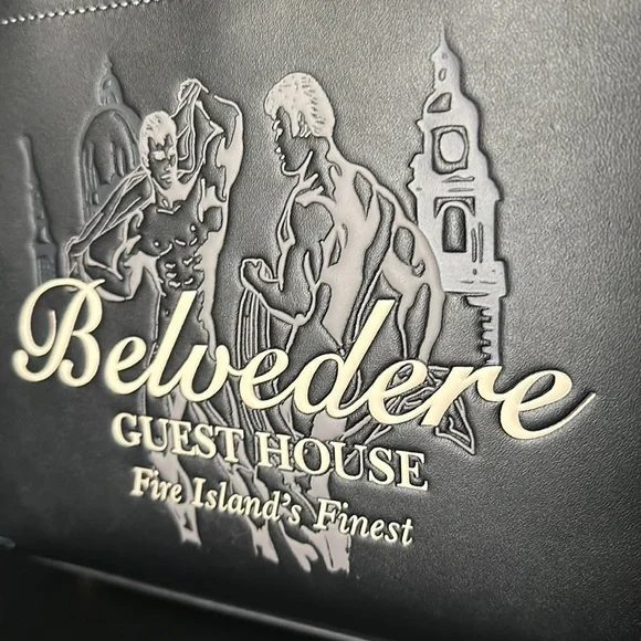 NWT Coach Belvedere Cashin Carry 22 Fire Island Graphic Leather Purse Handbag - Picture 10 of 15